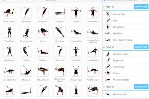 3 iPad Apps for TRX Suspension Training System