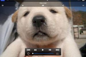 VDownload Plus: Video Downloader for iPad