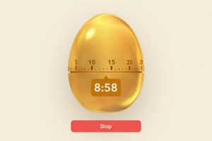 Filibaba Egg Timer for iPad