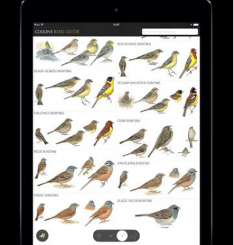 5 Bird Guides for iPad